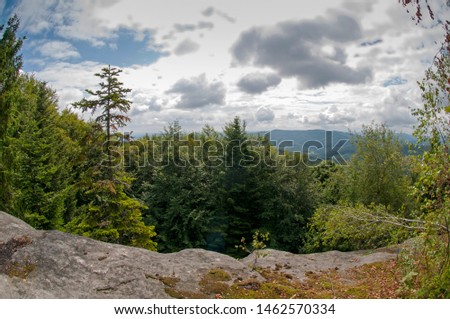 a beautiful landscape in the mountains with rock and summer forest