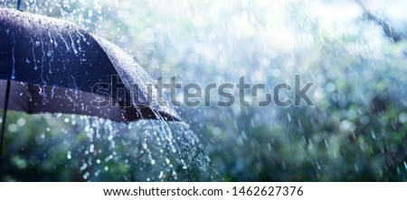 Rain On Umbrella - Weather Concept
