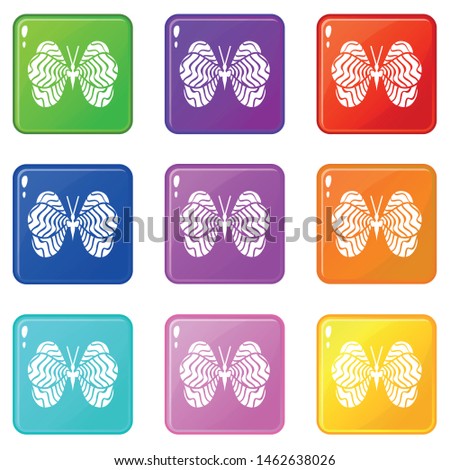 Little butterfly icons set 9 color collection isolated on white for any design