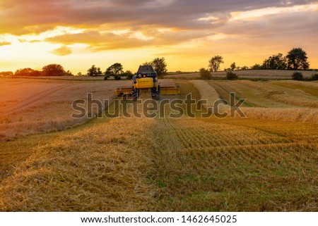 A combine harvester doing its seasonal work in a field of wheat, Jutland, Denmark.
