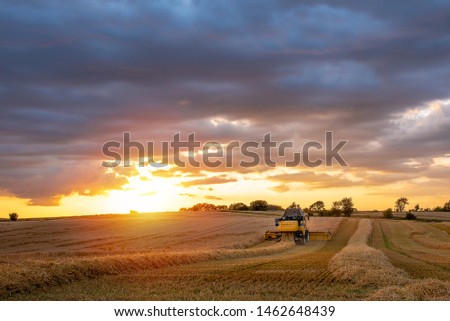 A combine harvester doing its seasonal work in a field of wheat, Jutland, Denmark.