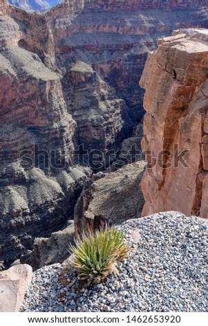 Canyon view over the edge