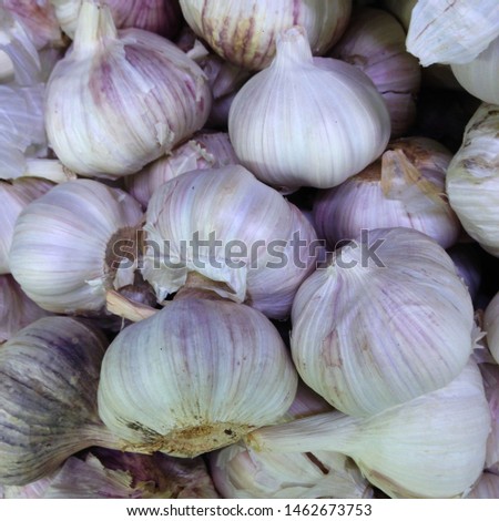 Macro Photo food garlic bulb. Stock photo Background texture Plant vegetable garlic.
