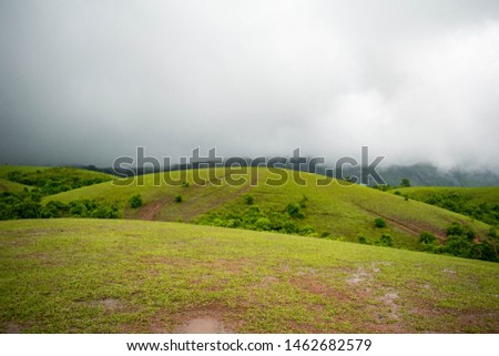 Lush green hills in the Western Ghats located in Vagamon, Kerala