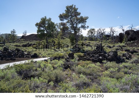 Devils Orchard trail in Craters of the Moon National Monument near Arco, Idaho. Desert sagebrush and volcanic rock surrounded the paved walking path
