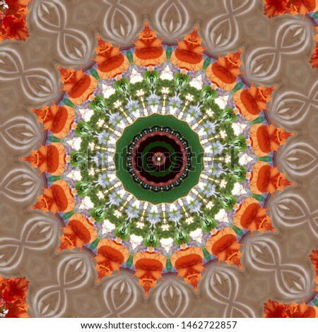 images of plant leaves and blooming flowers that are combined with a kaleidoscope effect that is similar to a spiral ornament