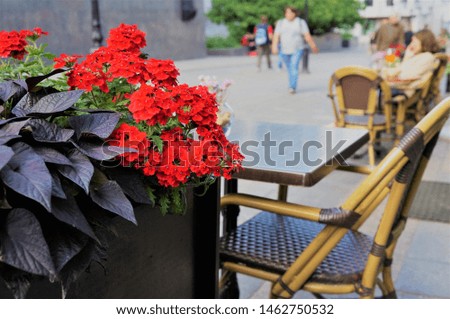 flowers, dinning tables on the veranda of a street cafe.  selective focus.