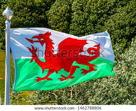 Welsh Flag flying against the  sky