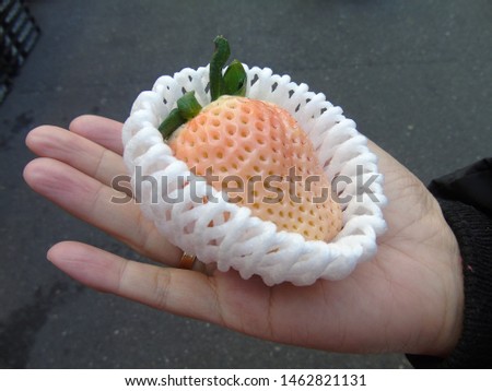 Close-up picture of delicious white strawberry at hand