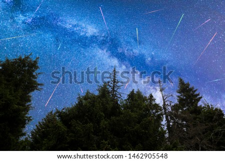 A view of the stars of the blue Milky Way with pine trees forest silhouette in the foreground. Night sky nature summer landscape. Perseid Meteor Shower observation. Colorful shooting stars.