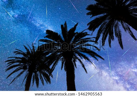 A view of a Meteor Shower and the Milky Way with three palm trees silhouettes in the foreground. Night sky nature summer landscape. Perseid Meteor Shower observation. Colorful shooting stars.