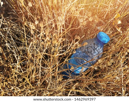 Plastic bottle on the dry grass field with copy space on the left side. Concept for Effects of Littering on the Environment.
