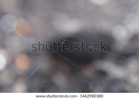 A macro photograph of an almost invisible spider web