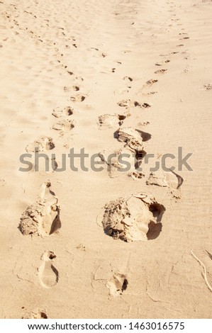 A vertical shot of a sandy beach with feet trails on the sand during a sunny day