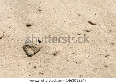 Beach sand background fine art in high quality prints products 