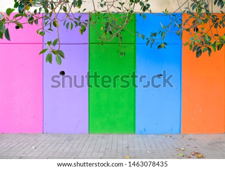 Colorful vertical bands painted on the wall, branches of a tree, fresh saturated colors, colorful urban detail.