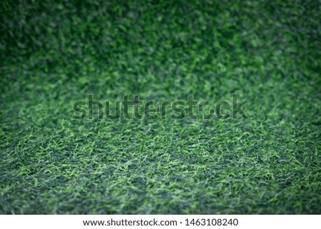 Artificial grass turf background, Long grass