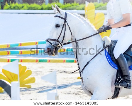 Horse and rider in light uniform performing jump at show jumping competition. Beautiful white horse portrait during Equestrian sport event, copy space.