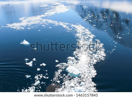 Ice in the icy waters of the Antarctic Peninsula, Antarctica