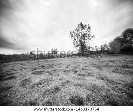 grassland with a large tree, this black and white camera obscura photo is NOT sharp due to camera characteristic. Taken on analogue photographic large format negative film with a pinhole camera