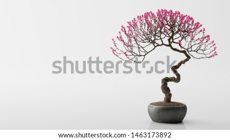 Pink bonsai on a white background Royalty-Free Stock Photo #1463173892