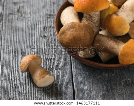 White mushroom next to the bowl with aspen and porcini mushrooms. Natural food from the forest.