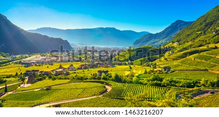 Vineyards view in Santa Maddalena Rencio Bolzano. Trentino Alto Adige Sud Tyrol, Italy, Europe. Royalty-Free Stock Photo #1463216207