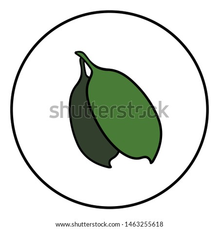 Green leaf eco vector illustration isolated