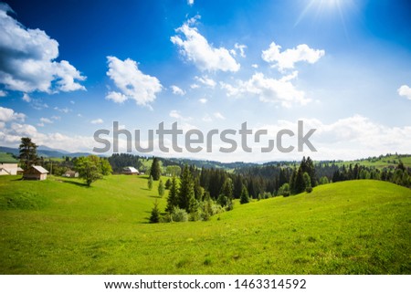 Beautiful nature in the Carpathians. Royalty-Free Stock Photo #1463314592