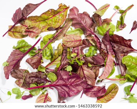 
Leaves of various salads on a white background.
Photographing with a medium format camera with a resolution of 50 MP.