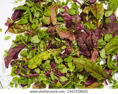 
Leaves of various salads on a white background.
Photographing with a medium format camera with a resolution of 50 MP.
