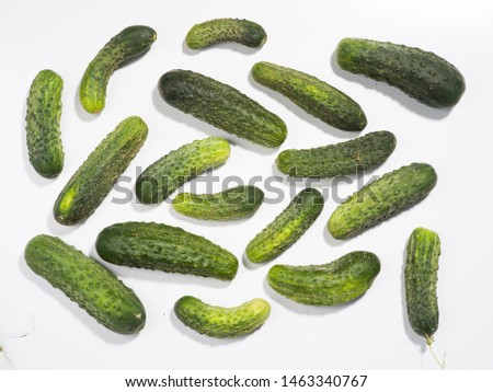 Polish organic cucumbers on a white background.
Photographing with a medium format camera with a resolution of 50 MP