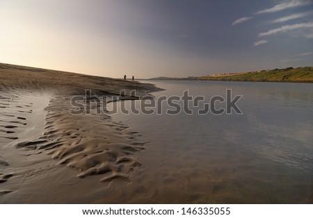 Dog walking at Poppit Sands, St Dogmaels Wales Royalty-Free Stock Photo #146335055