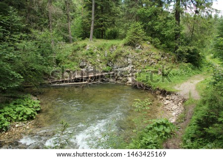 Stream peacefully and slowly flowing through the forest areas of the Slovak Paradise National Park