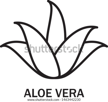 Aloe vera logo vector. Icon isolated on white background. Aloe vera flat logo style for sticker, label, leaf icon and element design. Aloe vera plant, vector illustration