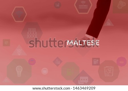 MALTESE - technology and business concept