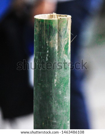 Branch of green bamboo on blur background