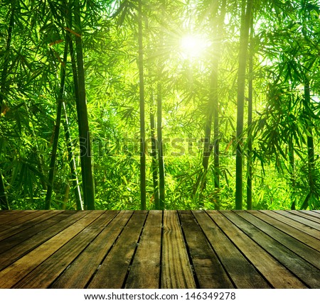 Wooden platform and Asian Bamboo forest with morning sunlight. Royalty-Free Stock Photo #146349278
