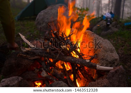 Beautiful amazing bonfire in forest. Close up view fire. Inspiring nature landscape. Firewood on the hot rocks. 