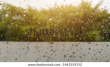 Drops of water on the glass, drizzling, filled with steam in the morning, the sun is rising, the background of trees blurred green.