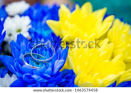 Wedding rings lie on blue white and yellow chrysanthemums.