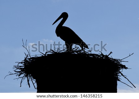 One stork standing in his nest. Silhouette on the blue sky