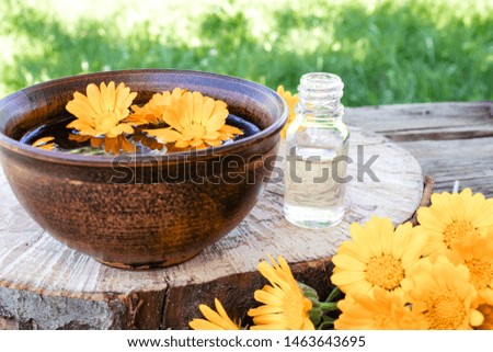 Aromatherapy essential oil with calendula flowers on a wooden background in nature. Extract of calendula tincture in a bowl. Medicinal plants.