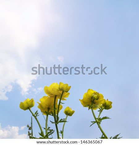 Summer background with blue sky 