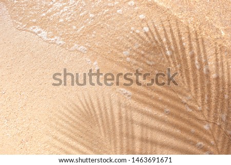 Selective focus of summer and holiday backgrounds concepts with shadow of coconut leaf on clean sand beach.copy space