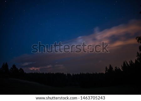 Milky Way over the forest