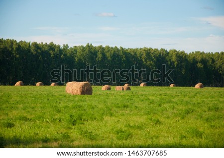 Hay roll on a meadow on a hot summery day with puffy clouds on a deep blue sky