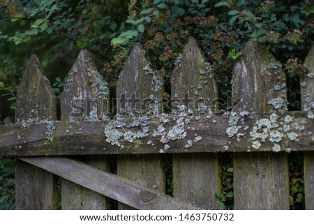 Old wooden farm fence in the summer