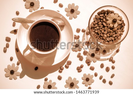 A cup of coffee, coffee beans, flowers in the rays of a bright soltsa is the concept of the summer energy of a coffee drink in monochrome colors.