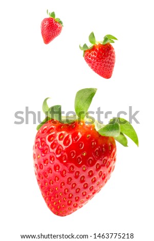 Isolated falling fruits. Photograph of delicious and fresh strawberries flying isolated on white background. Healthy sweet food. Food levitation concept. Creative food layout. High resolution image.